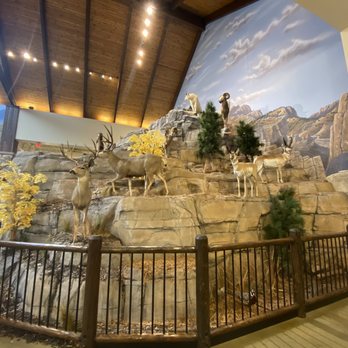 Cabela's - Mountain surrounding the fish tank - Guns & Ammo Near Me - Fort Mill, South Carolina Cabela's - Mountain surrounding the fish tank - Guns & Ammo Near Me - Fort Mill, South Carolina