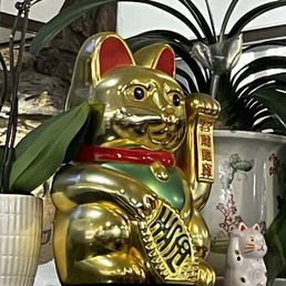 Several good luck waving cats here Several good luck waving cats here