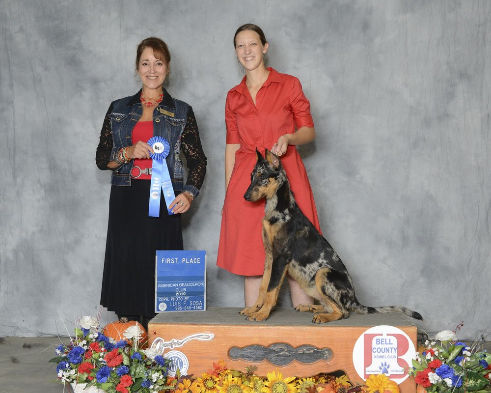 K9 Kompliance - pet boarding facility in Elgin, SC