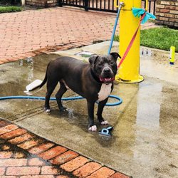 happy trails dog park