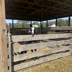 Shlagel Farms