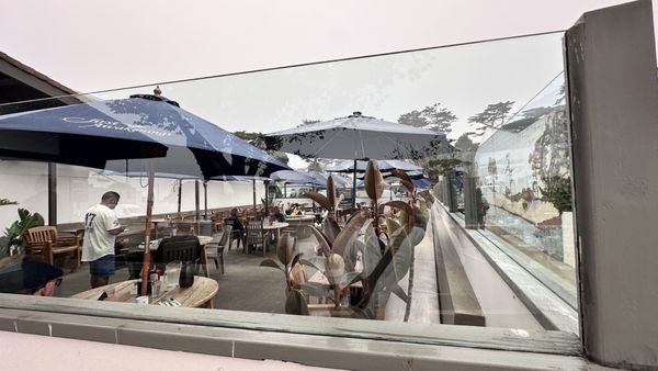 First Awakenings by null