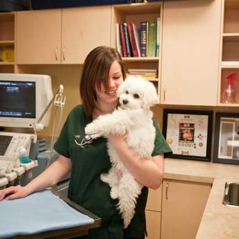 Westbridge Veterinary Hospital - Veterinarians Near Me - Mississauga, Ontario Westbridge Veterinary Hospital - Veterinarians Near Me - Mississauga, Ontario