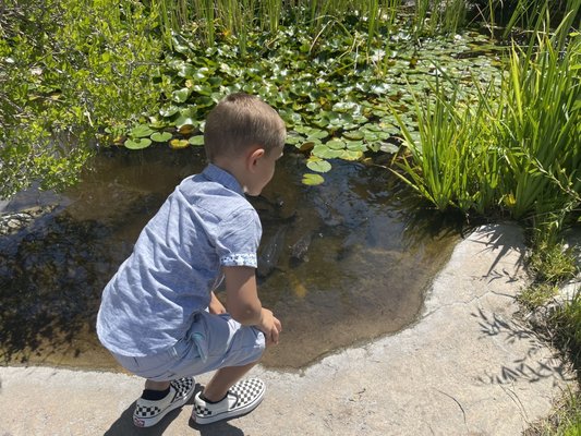 ABQ BioPark Aquarium by null