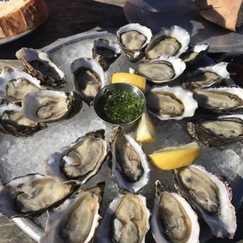 Hog Island Oyster - Fresh oysters! - Seafood Near Me - Marshall, California Hog Island Oyster - Fresh oysters! - Seafood Near Me - Marshall, California