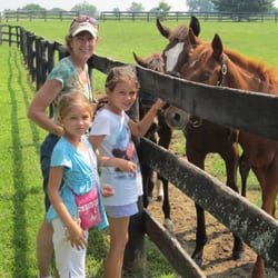 UnBridled Horse Tours - Texas nieces meeting weanlings