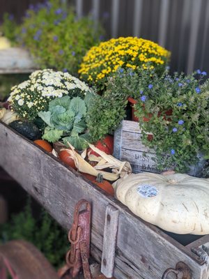 SweetCreek Farm Market by null