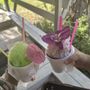 Snow Cone Factory