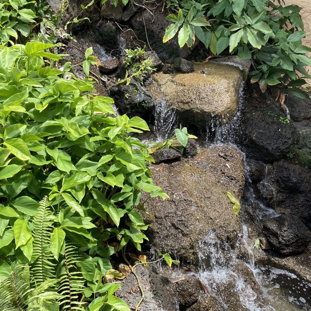 Keoki's Paradise - Waterfall near entrance - Seafood Near Me - Koloa, Hawaii Keoki's Paradise - Waterfall near entrance - Seafood Near Me - Koloa, Hawaii