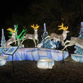 Glowfari - Zoos Near Me - Oakland, California Glowfari - Zoos Near Me - Oakland, California
