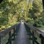 Photo of Riley Park - Delphi