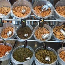 Treats galore Treats galore