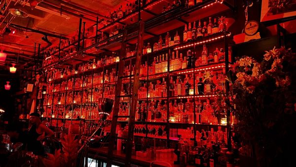 The Speakeasy by null