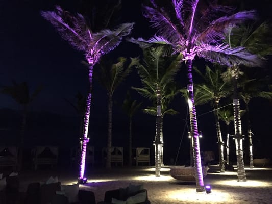 Four Seasons Resort Punta Mita by null