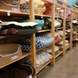 Lots of comfy pet beds Lots of comfy pet beds
