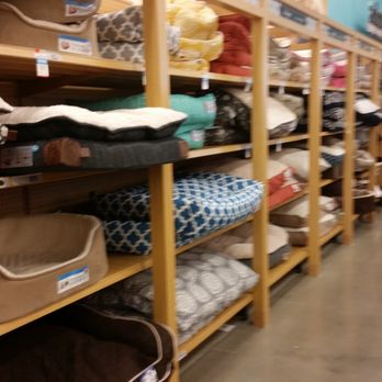 Petco - Lots of comfy pet beds - Pet Groomers Near Me - Morganville, New Jersey Petco - Lots of comfy pet beds - Pet Groomers Near Me - Morganville, New Jersey