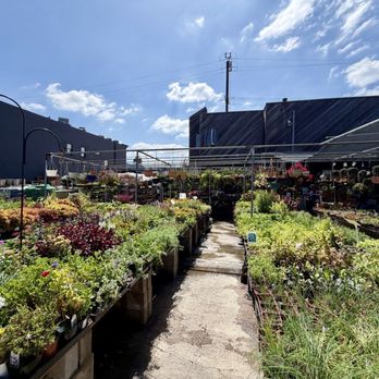 Sunset Nursery - Nurseries & Gardening Near Me - Los Angeles, California Sunset Nursery - Nurseries & Gardening Near Me - Los Angeles, California