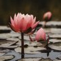 Photo of True Zen Therapy