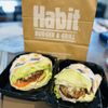 Habit Burger & Grill gift card
