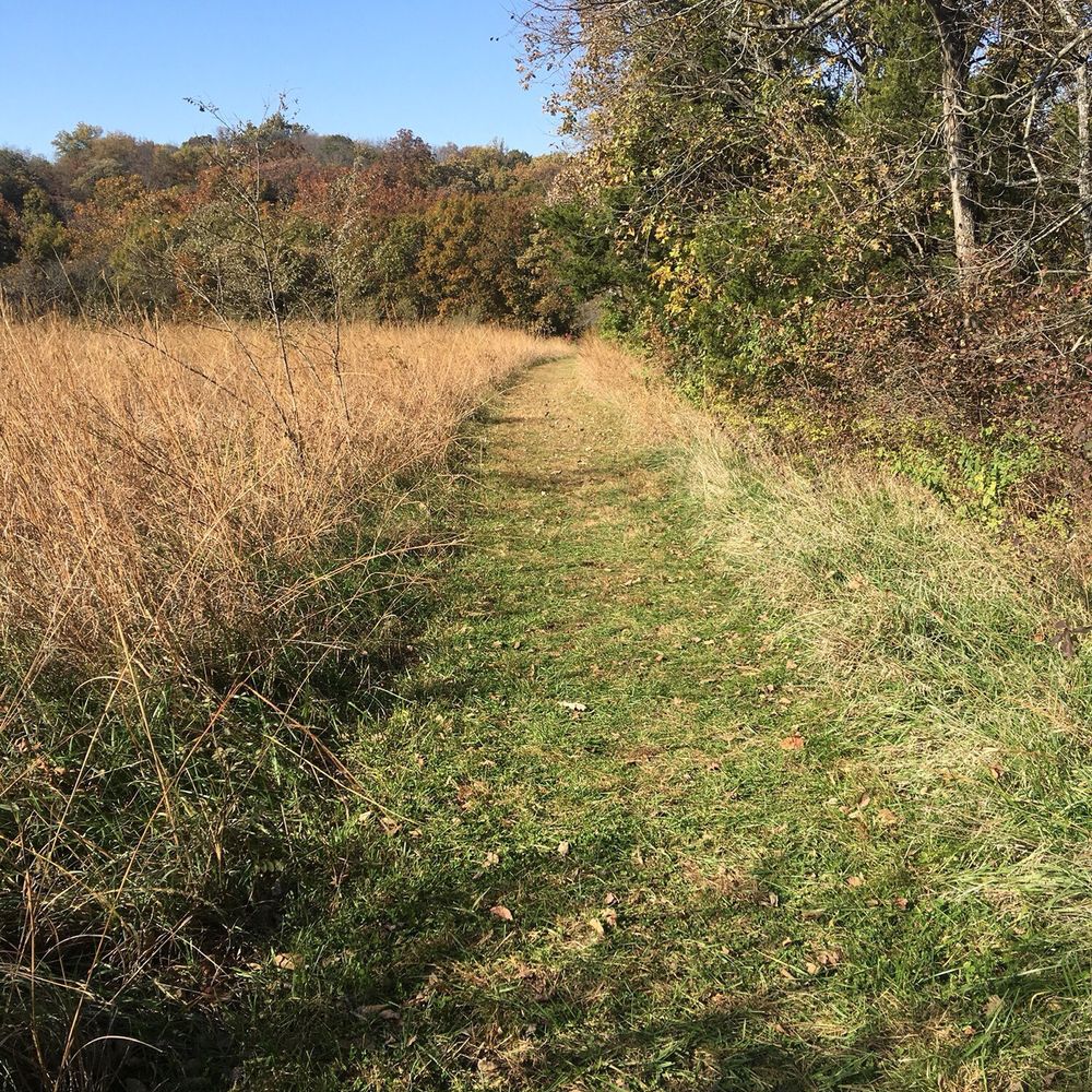 Prairie Center - Mowed trails - Parks Near Me - Olathe, Kansas