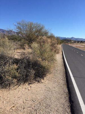Tucson Bike Tours by null