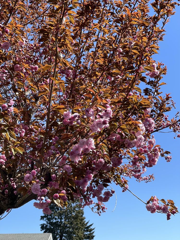 FIELDSTONE APARTMENTS Updated April 2024 86 Photos & 11 Reviews