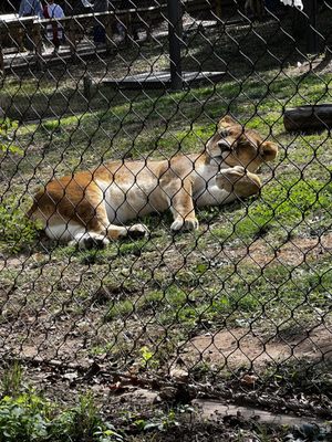 Philadelphia Zoo by null