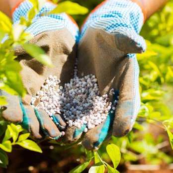 Baker Tree Service - Tree Services Near Me - Trenton, Ohio Baker Tree Service - Tree Services Near Me - Trenton, Ohio