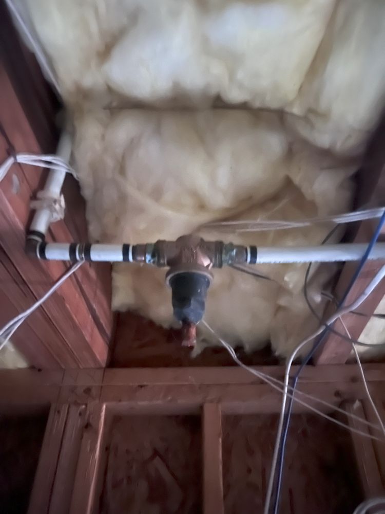 Slide of Big Dawg's Plumbing Services