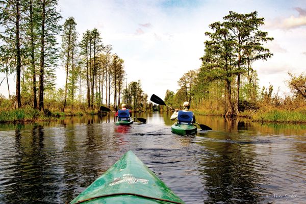 Okefenokee National Wildlife Refuge by null