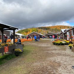 Pumpkinville