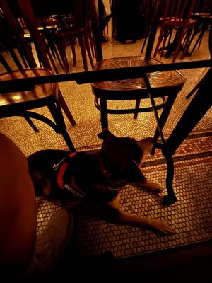 Pastis Nashville by null