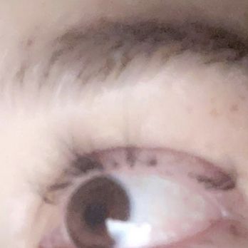Deka Lash - Northville - Eyelash Service Near Me - Northville, Michigan Deka Lash - Northville - Eyelash Service Near Me - Northville, Michigan