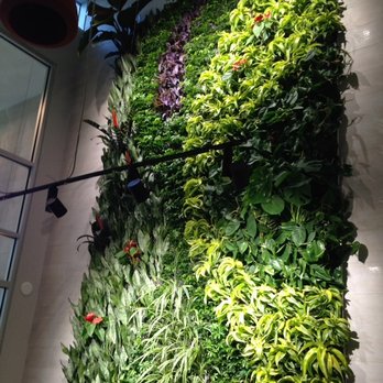 Greenery Office Interiors - Here is an example of one of our fabulous Living walls! we are the Living Wall specialists in Calgary. - Indoor Landscaping Near Me - Calgary, Alberta Greenery Office Interiors - Here is an example of one of our fabulous Living walls! we are the Living Wall specialists in Calgary. - Indoor Landscaping Near Me - Calgary, Alberta