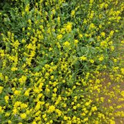 Photo of Escondido Canyon Park - Malibu, CA, United States. May 2023