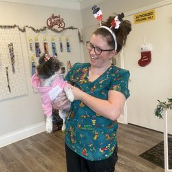 Dee's Grooming Gallery - Angel loves Katie and the wonderful staff at Dee's Grooming Gallery!