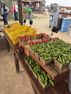 Coastal Roots Farm by null