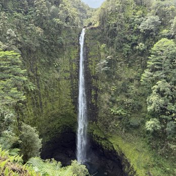 Akaka Falls State Park - Akaka falls. 442 foot waterfall. - Parks Near Me - Honomu, Hawaii
