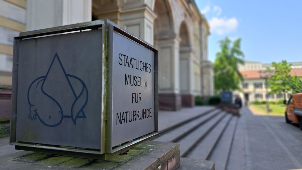 Staatliches Museum für Naturkunde
