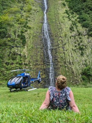 Blue Hawaiian Helicopters by null