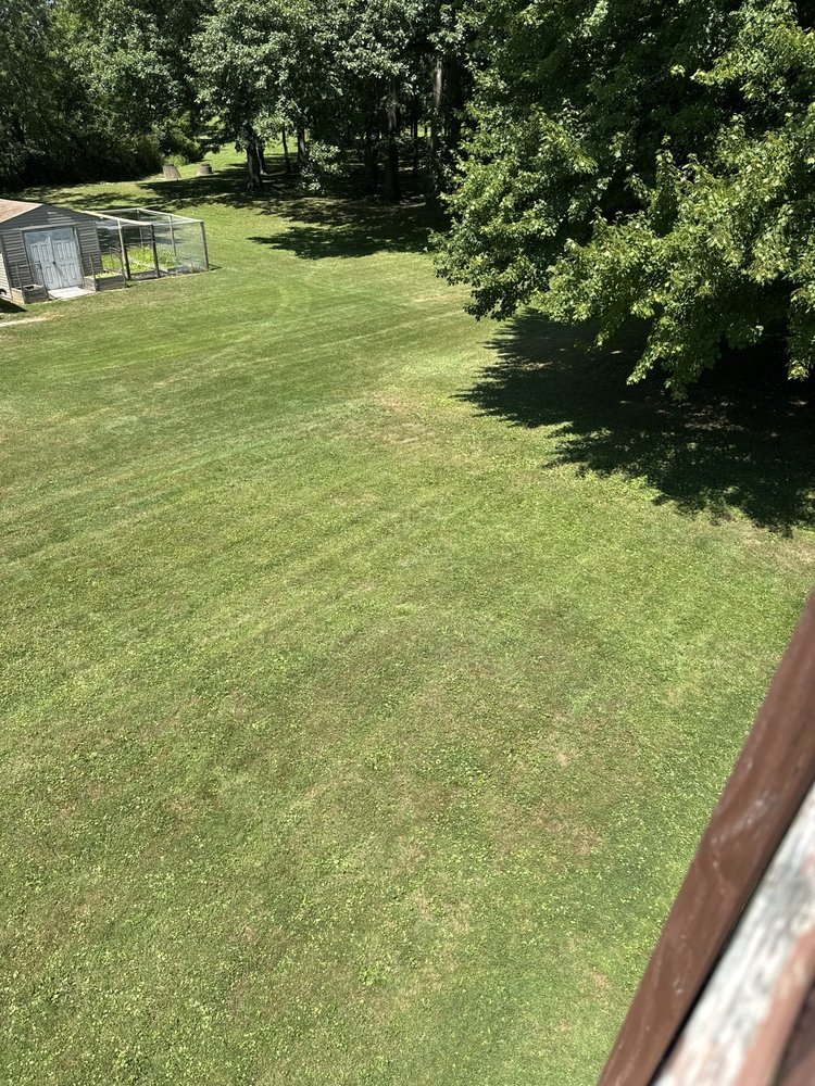 The Lawn Father - tree service in Springfield, PA