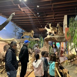 Petaluma Wildlife Museum