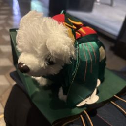 Mr Piffles merch Mr Piffles merch