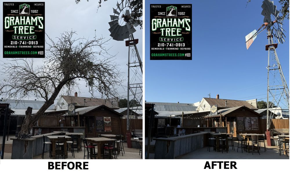 Graham's Tree Service - tree service in Pipe Creek, TX