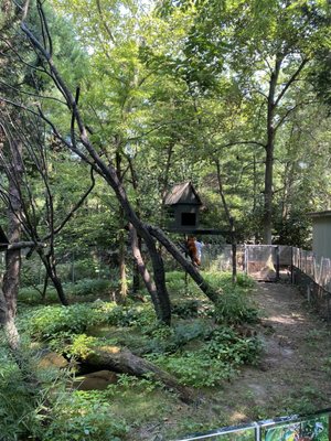 Prospect Park Zoo by null