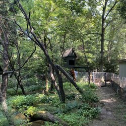 Prospect Park Zoo
