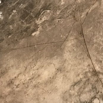 Carolinas Best Roofing - Slash marks in the vinyl were found in several spots - Roofing Near Me