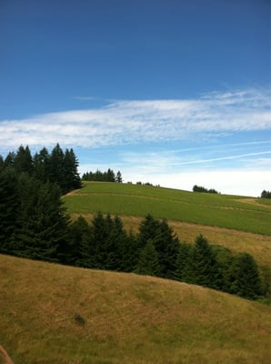 WillaKenzie Estate by null