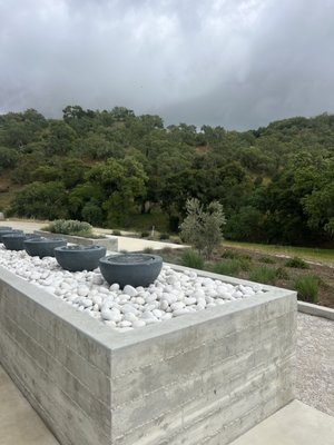 Caelesta Wines, Vineyard & Truffière by null