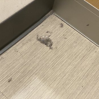 Target - Dressing rooms are pretty dirty. - Department Stores Near Me - Burbank, California Target - Dressing rooms are pretty dirty. - Department Stores Near Me - Burbank, California